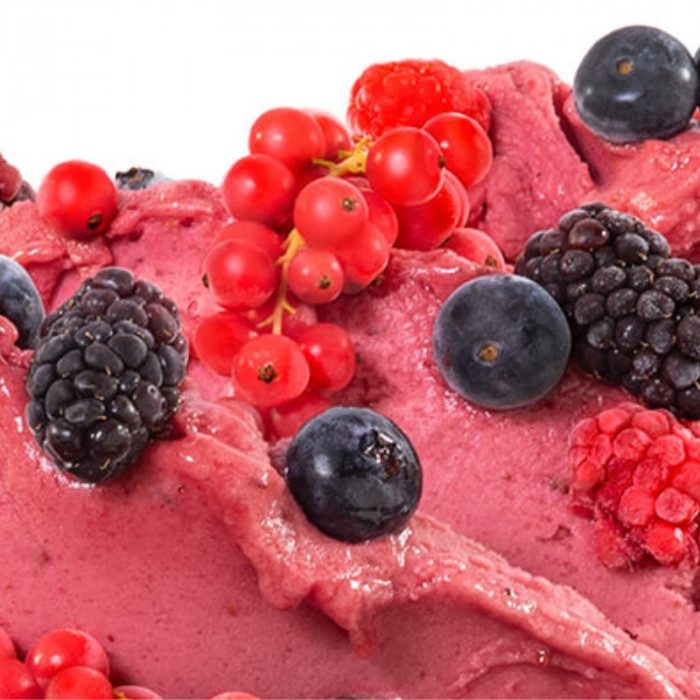 Wild Berries F214 – Concentrated Wild Berries Paste for Gelato & Desserts | Made in Italy by Rubicone & Distributed by Dia Supplies®