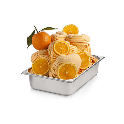 Orange F204 – Concentrated Orange Flavoring Paste for Gelato & Desserts | Made in Italy by Rubicone & Distributed by Dia Supplies®