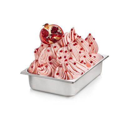 Pomegranate F237 – Concentrated Pomegranate Paste for Gelato & Desserts | Made in Italy by Rubicone & Distributed by Dia Supplies®