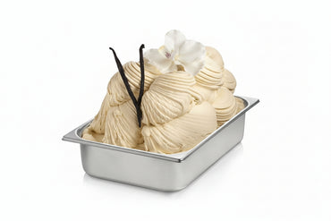 Vanilla French F043 – Madagascar Vanilla Flavoring Paste for Gelato & Desserts | Made in Italy by Rubicone & Distributed by Dia Supplies®